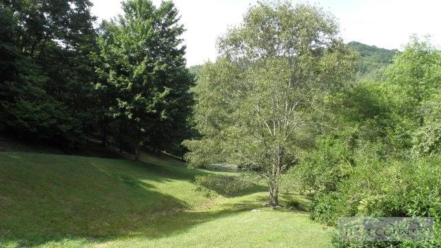 Image number 12 for the current listing