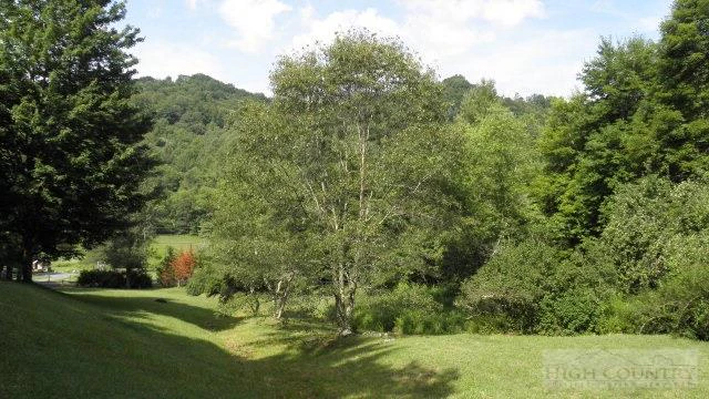 Image number 10 for the current listing