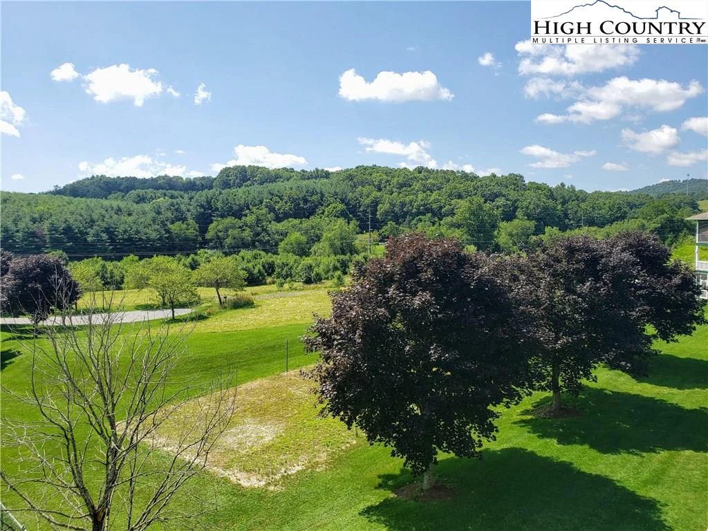 Image number 6 for the current listing