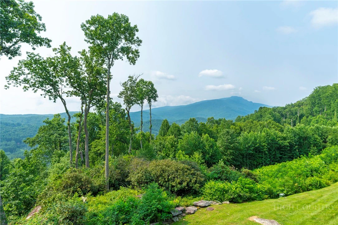 Image number 14 for the current listing