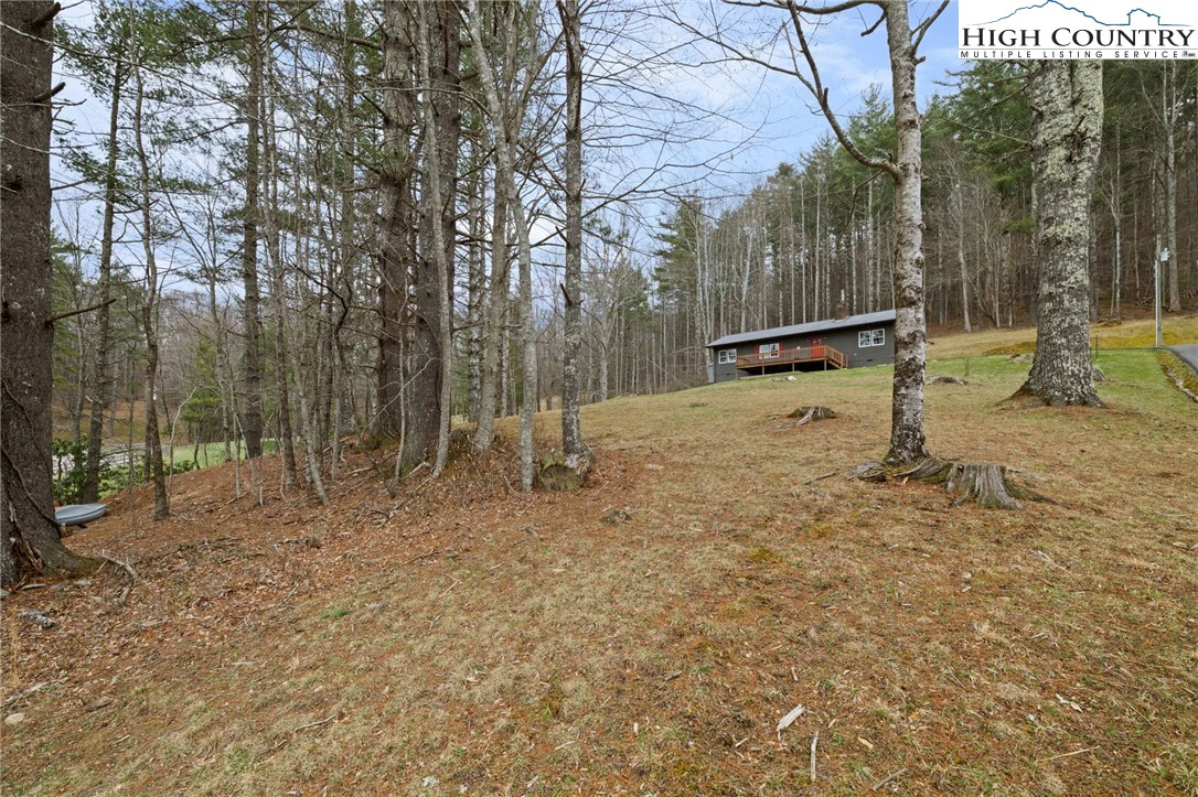 Image number 15 for the current listing