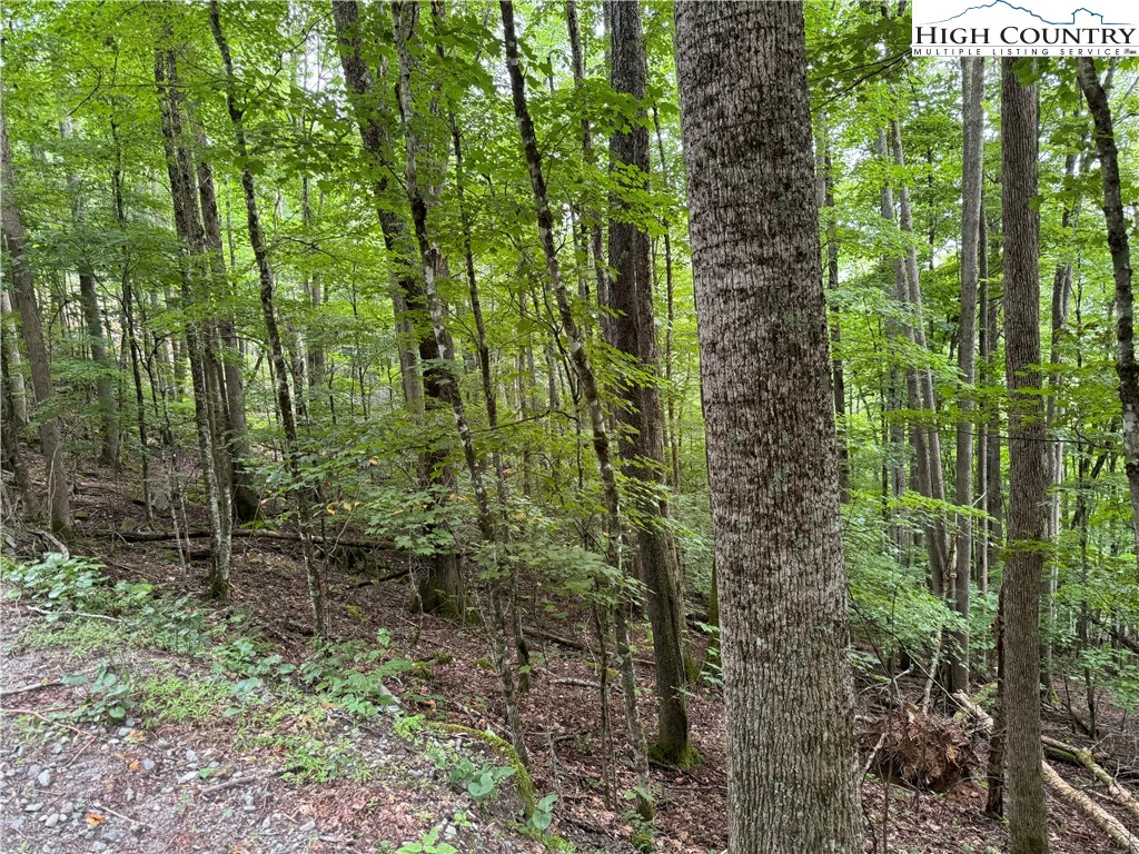 Image number 1 for the current listing