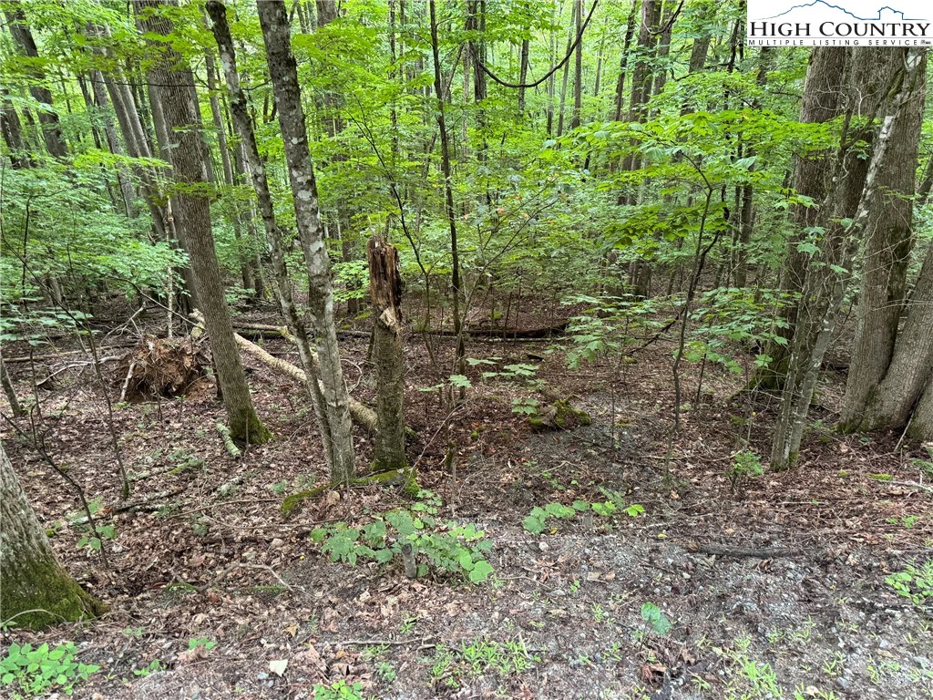 Image number 3 for the current listing