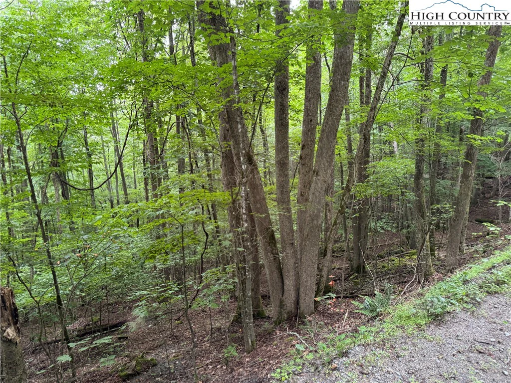 Image number 4 for the current listing