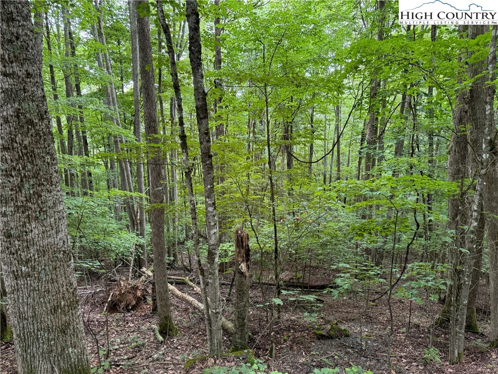 Image number 6 for the current listing