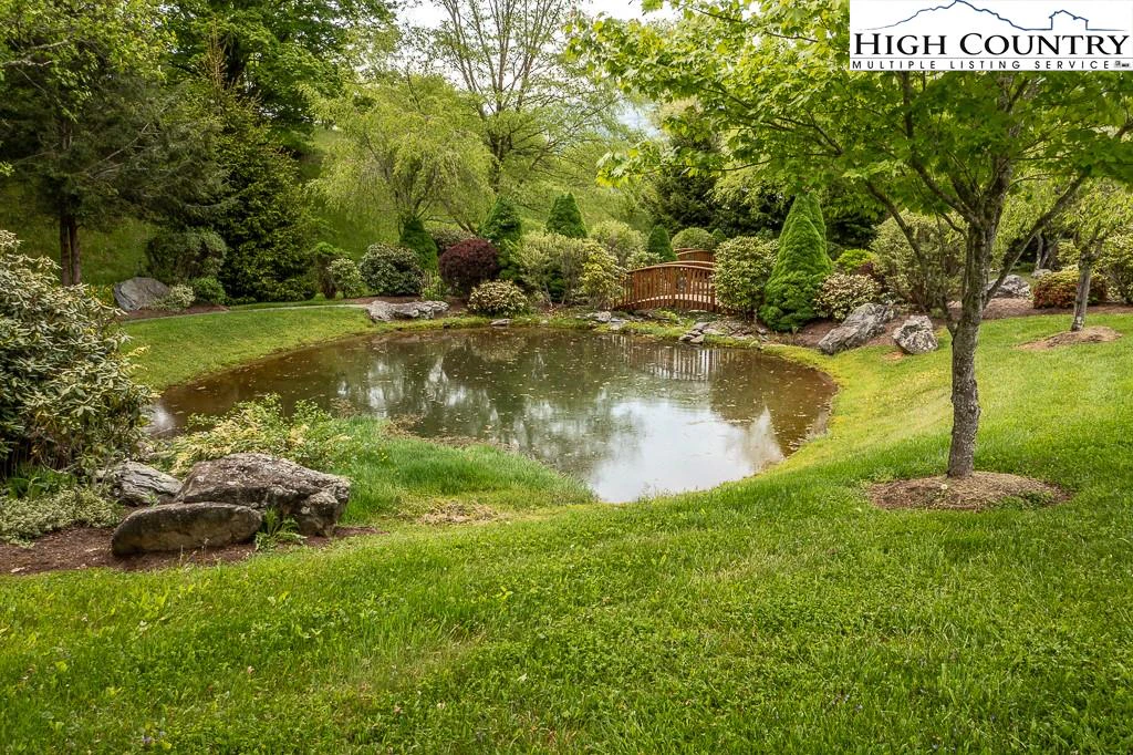 Image number 4 for the current listing