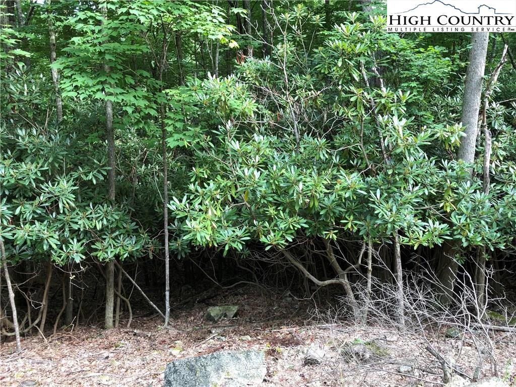 Image number 3 for the current listing