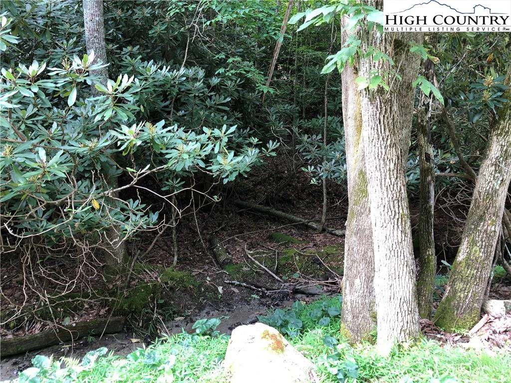 Image number 10 for the current listing