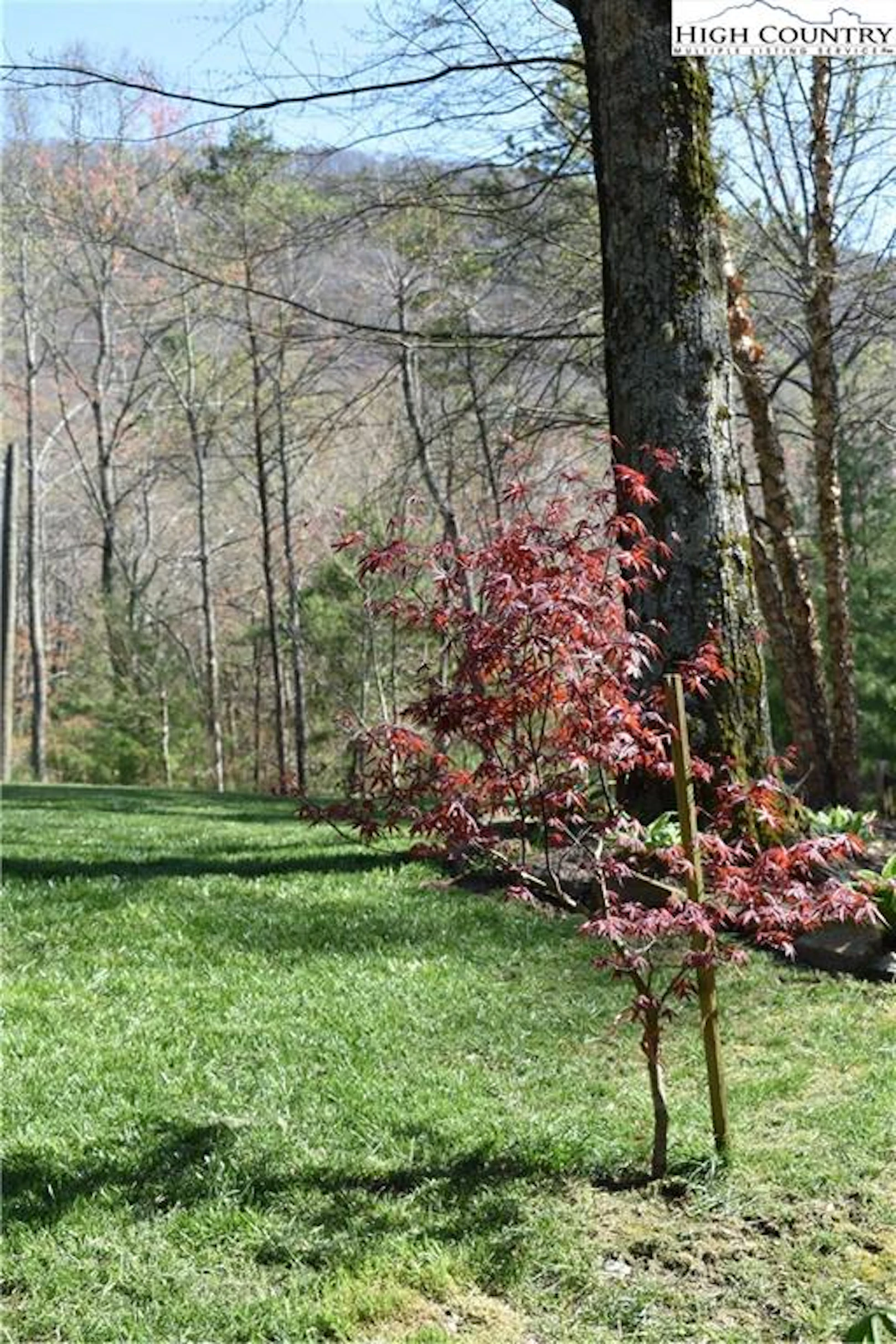 Image number 2 for the current listing