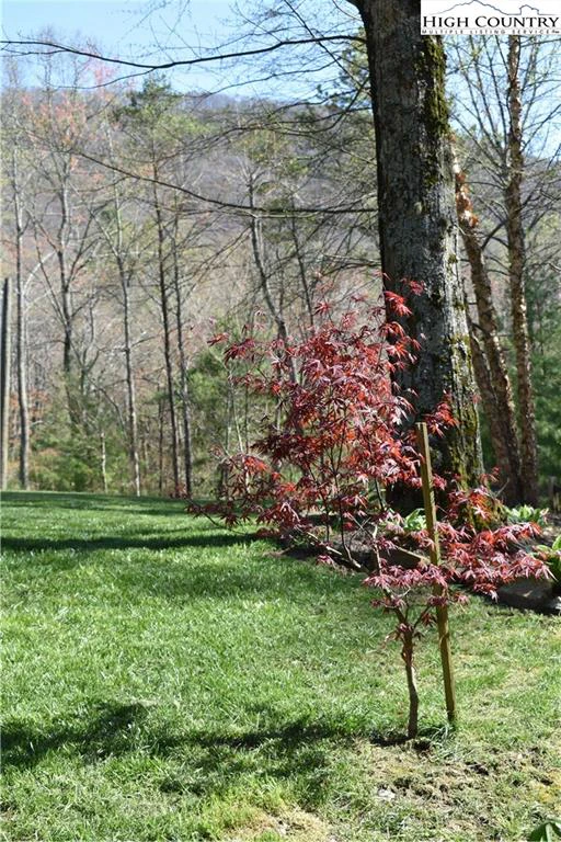 Image number 2 for the current listing