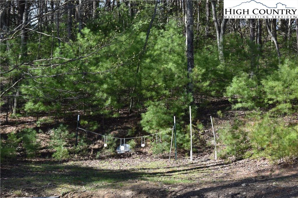 Image number 15 for the current listing