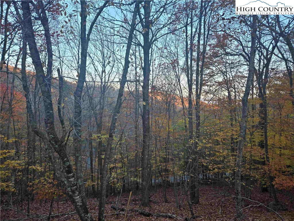 Image number 12 for the current listing