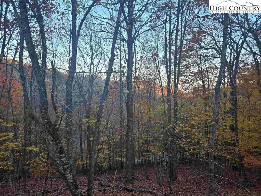Image number 10 for the current listing