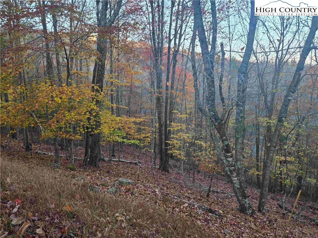 Image number 9 for the current listing