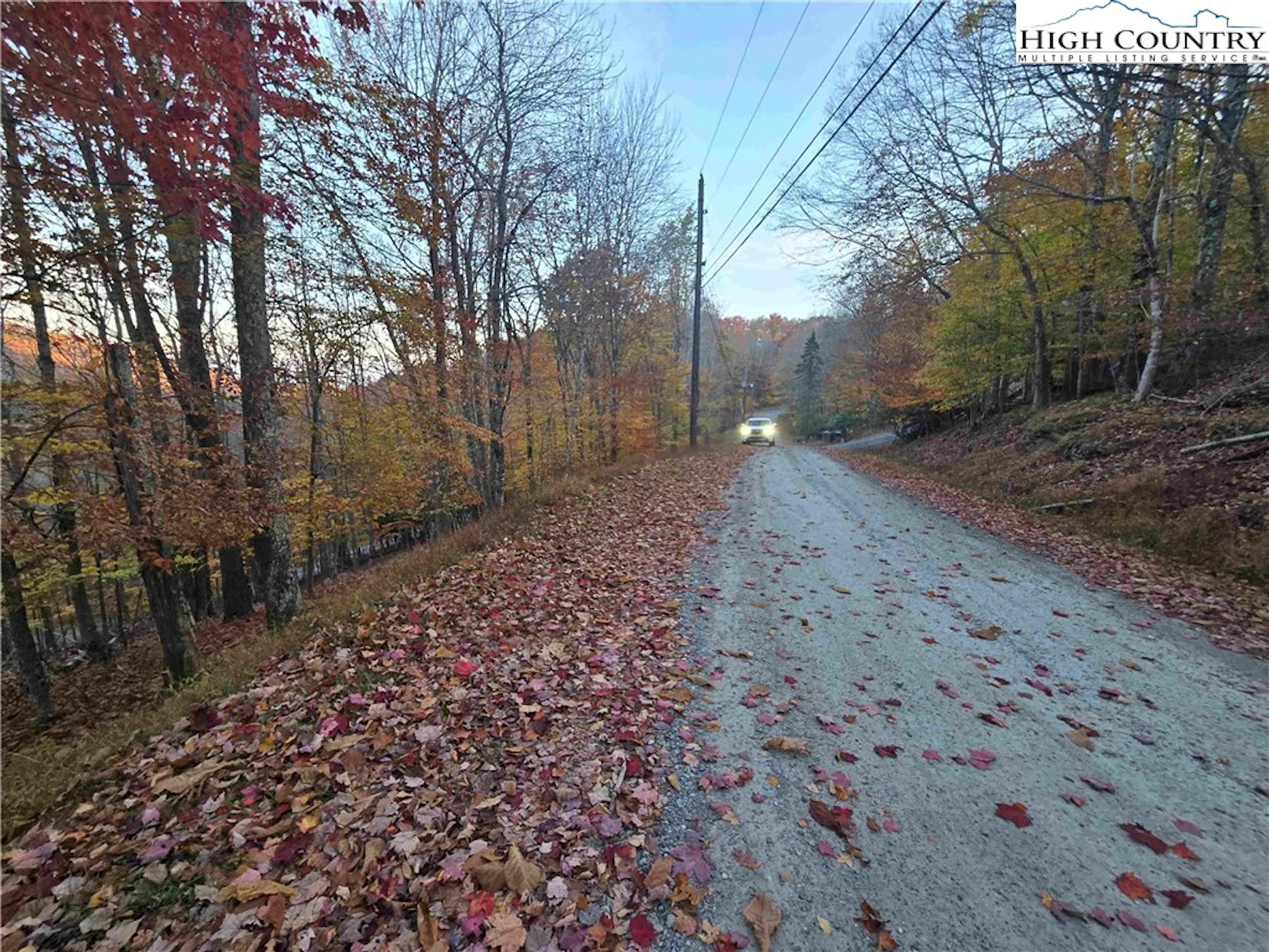Image number 1 for the current listing