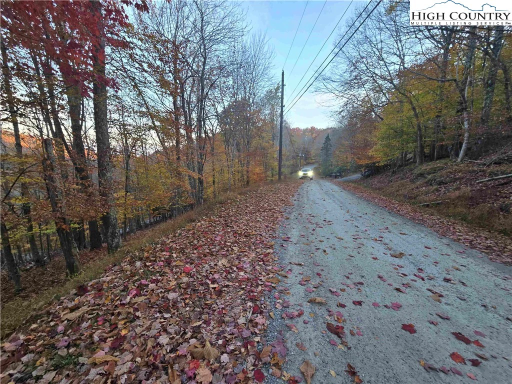 Image number 1 for the current listing