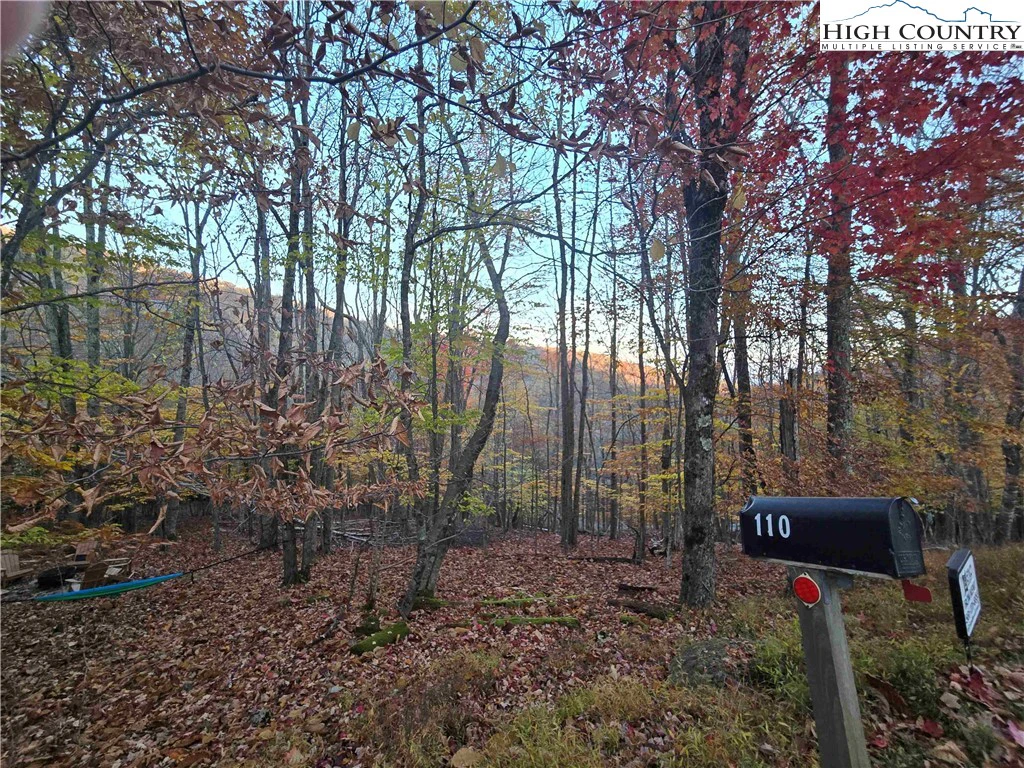 Image number 16 for the current listing