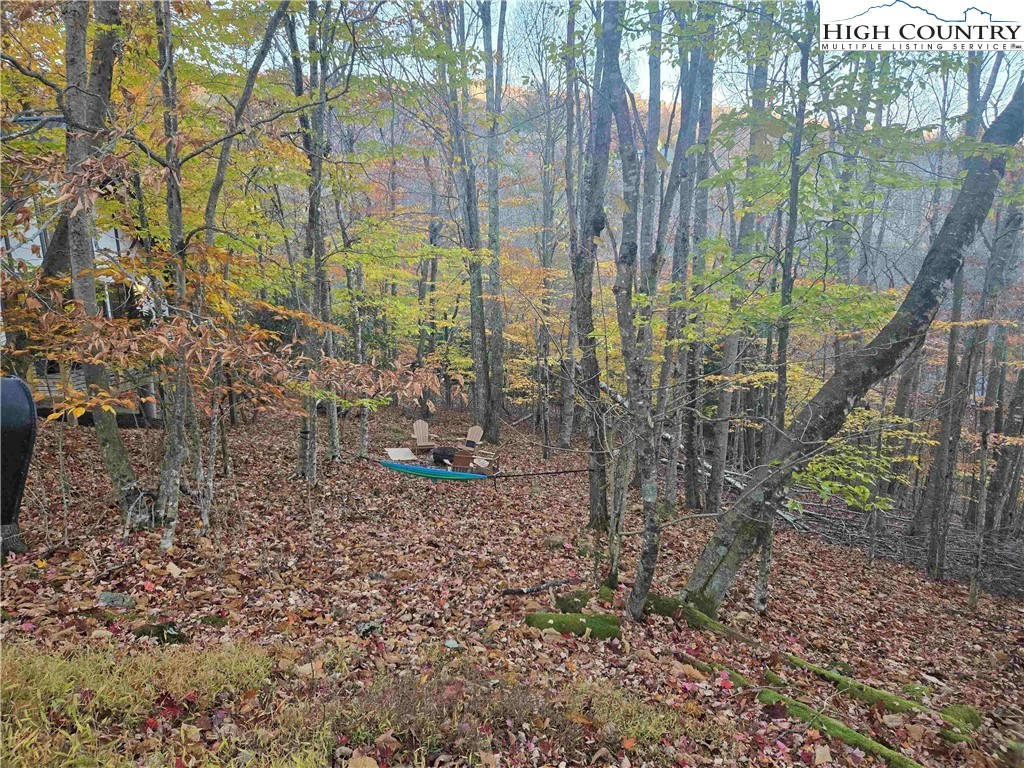 Image number 14 for the current listing