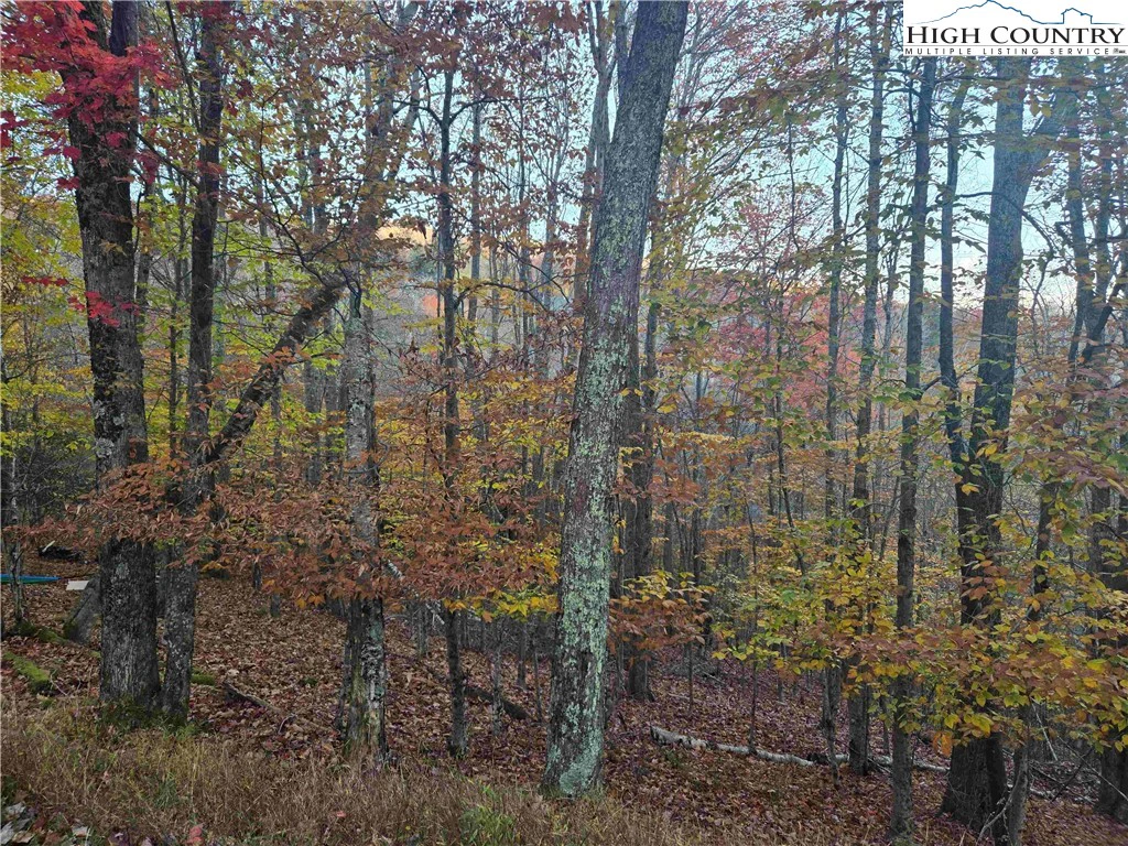 Image number 13 for the current listing