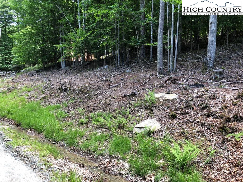 Image number 1 for the current listing