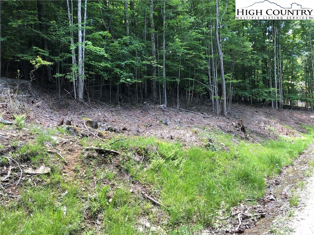 Image number 3 for the current listing