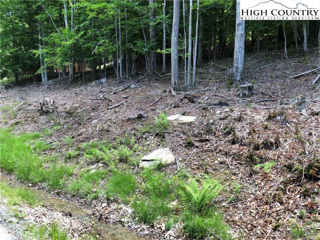 Image number 4 for the current listing