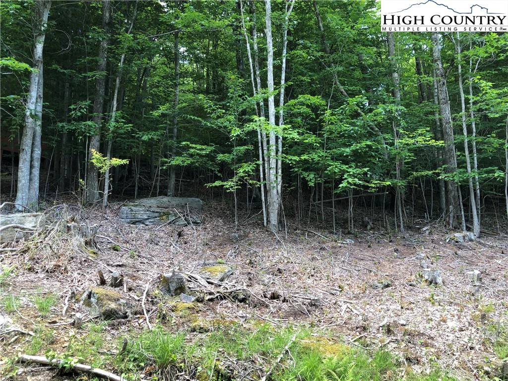 Image number 5 for the current listing