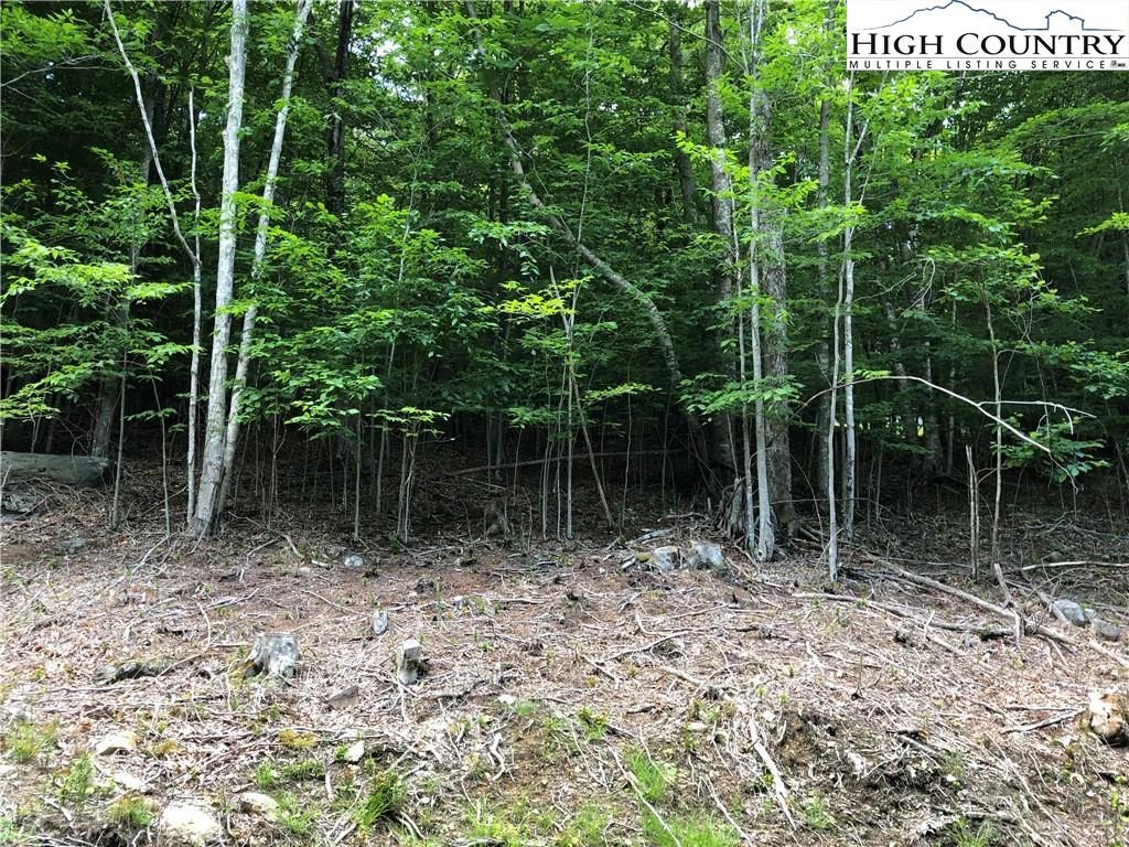 Image number 6 for the current listing