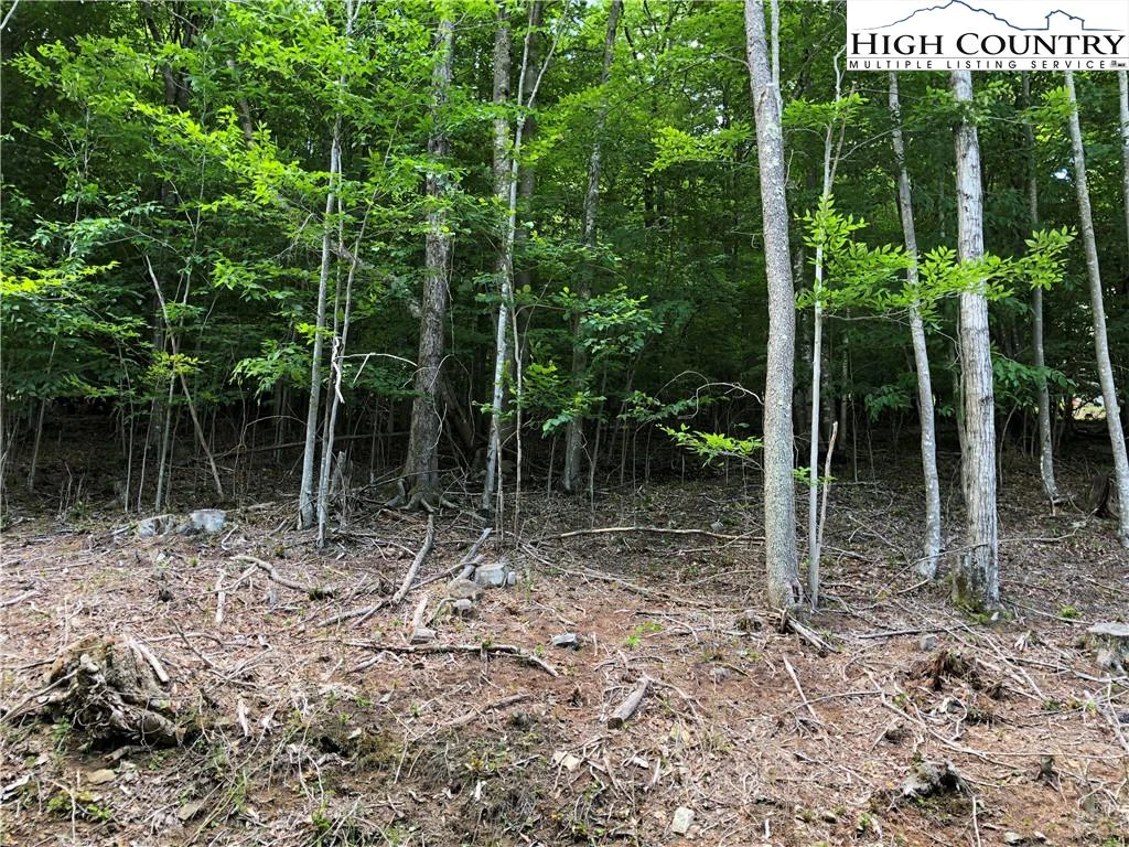 Image number 7 for the current listing