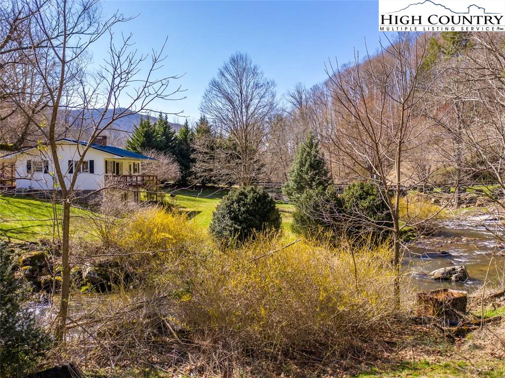Image number 12 for the current listing