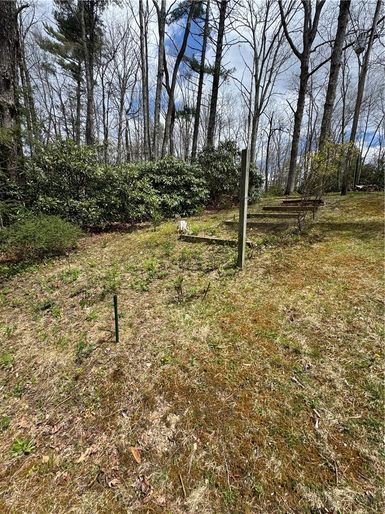 Image number 21 for the current listing