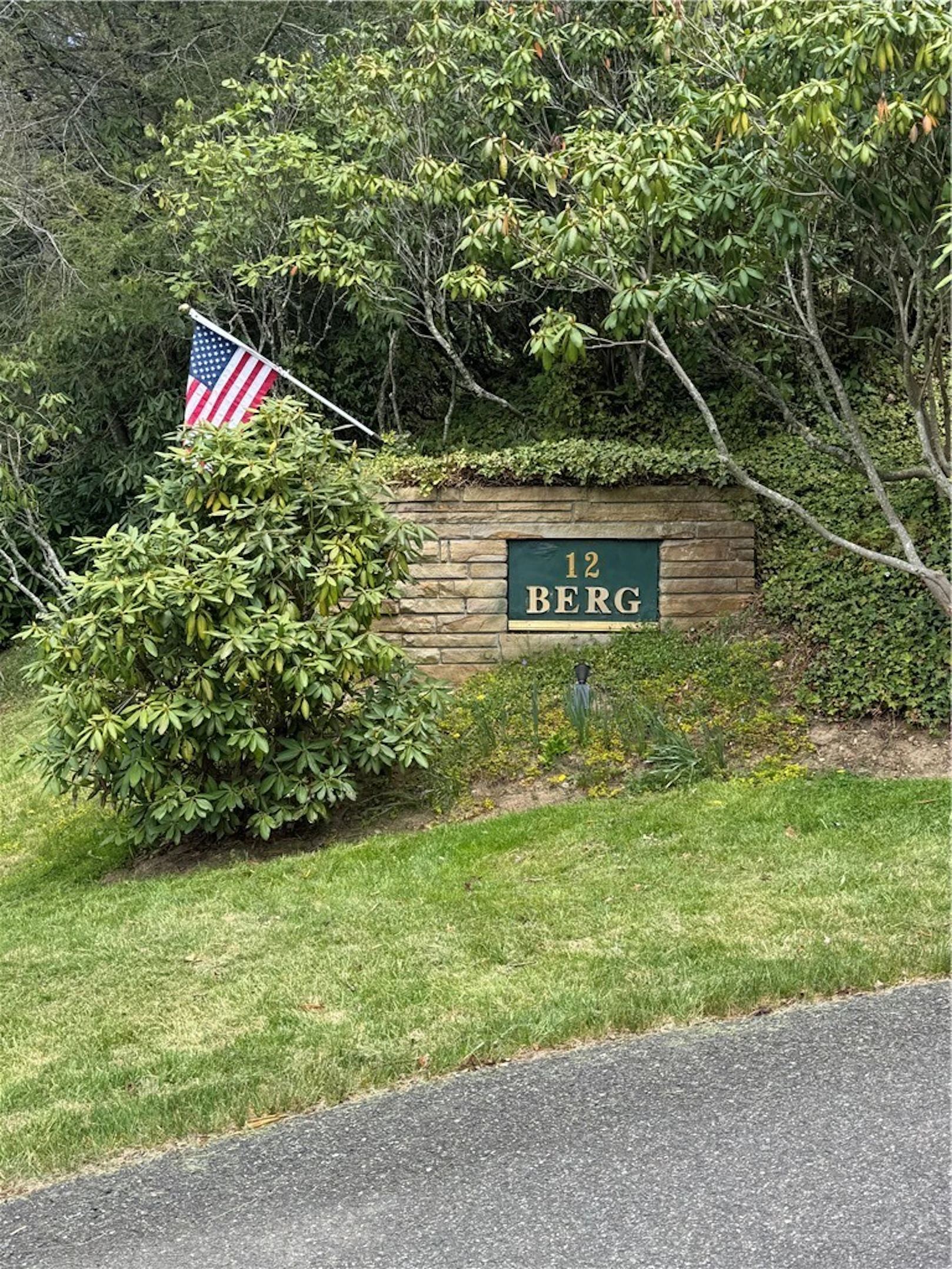 Image number 1 for the current listing