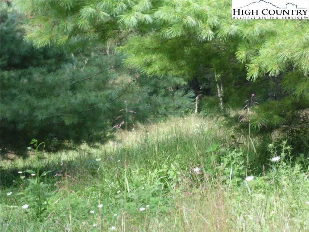 Image number 12 for the current listing