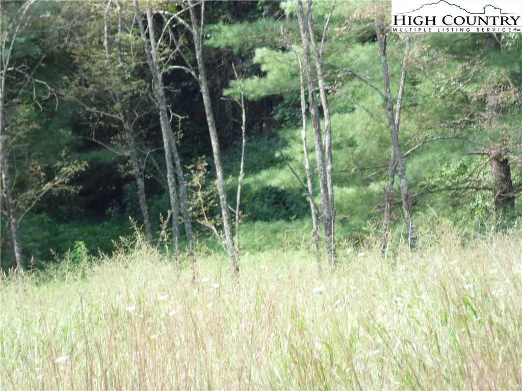 Image number 14 for the current listing