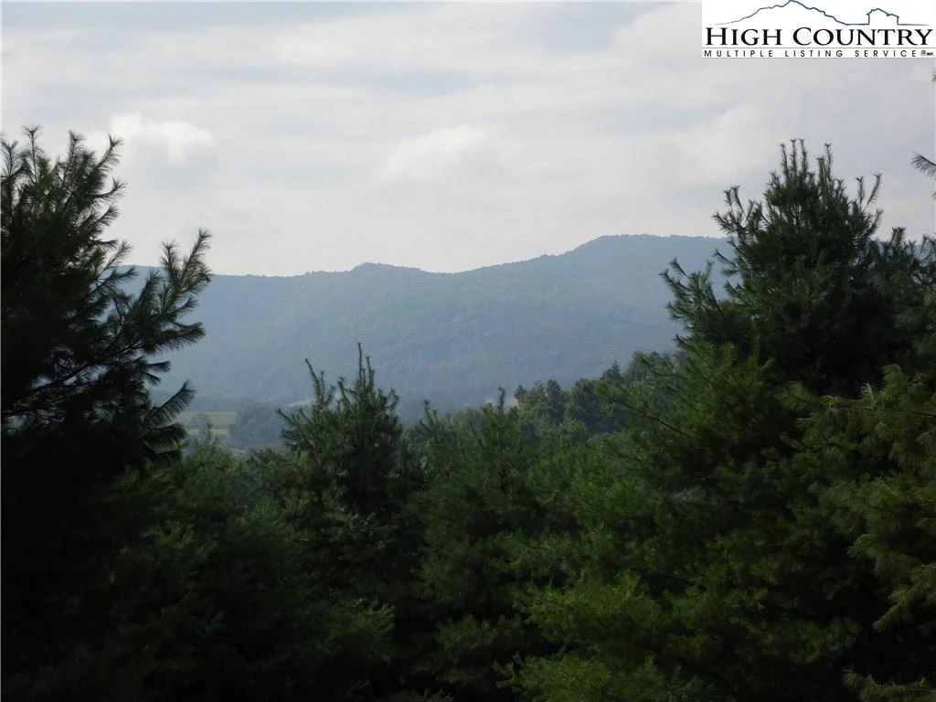 Image number 3 for the current listing