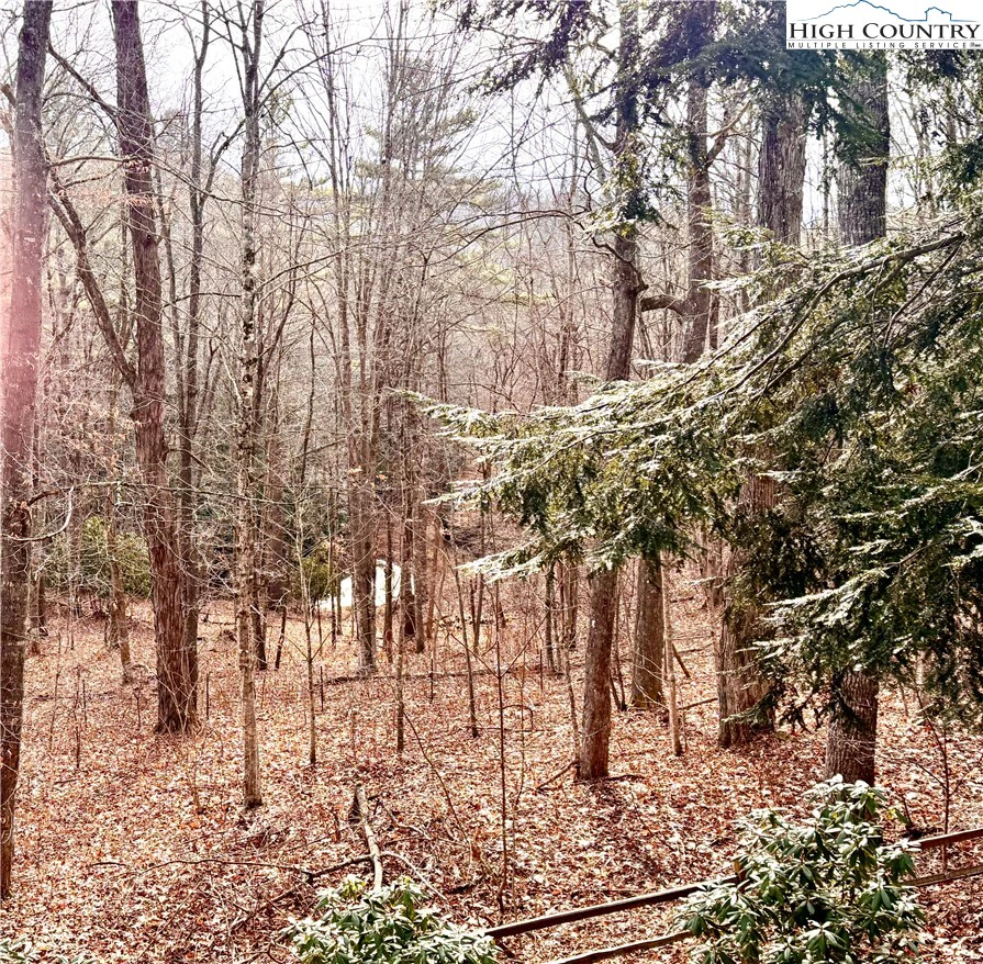 Image number 19 for the current listing