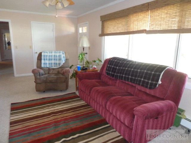 Image number 12 for the current listing