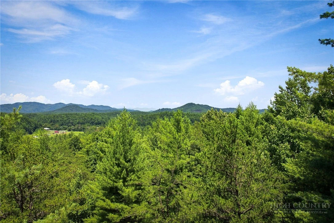 Image number 1 for the current listing
