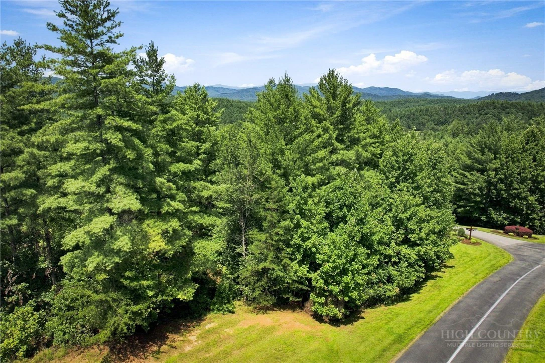Image number 3 for the current listing
