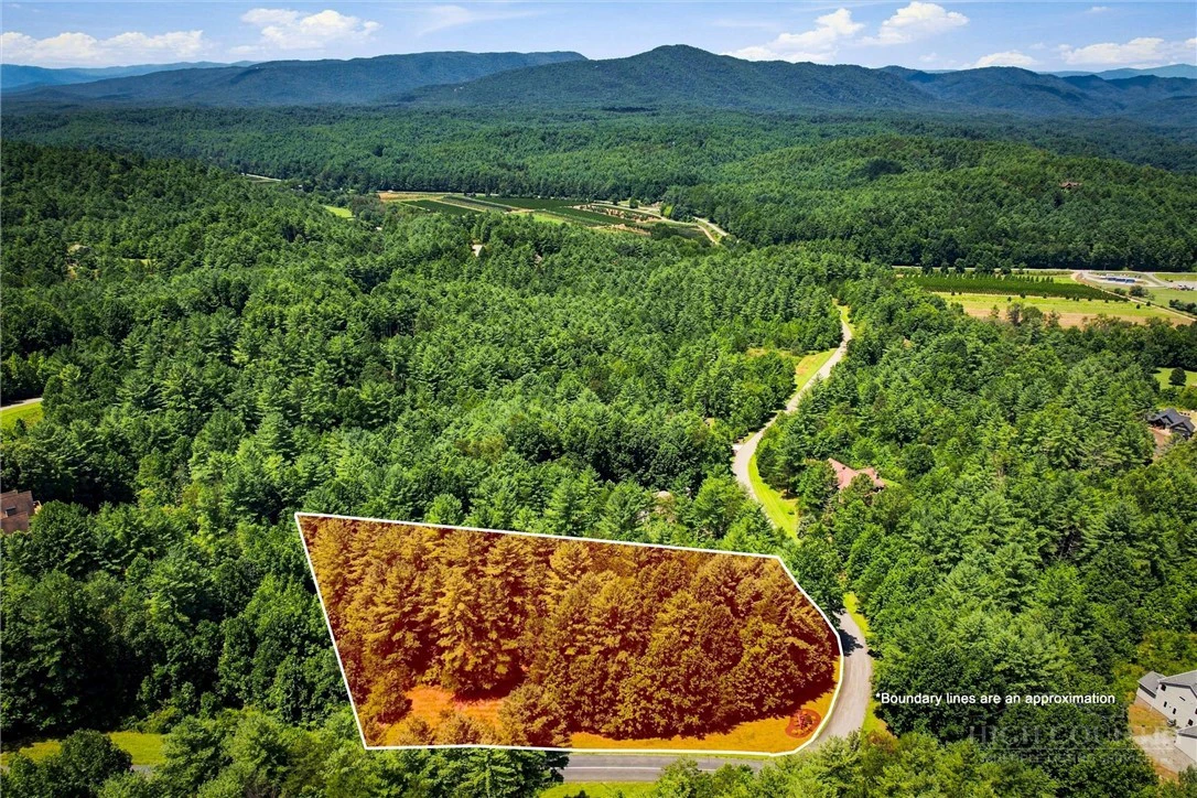 Image number 4 for the current listing