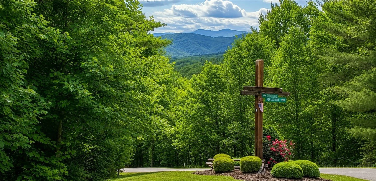 Image number 5 for the current listing