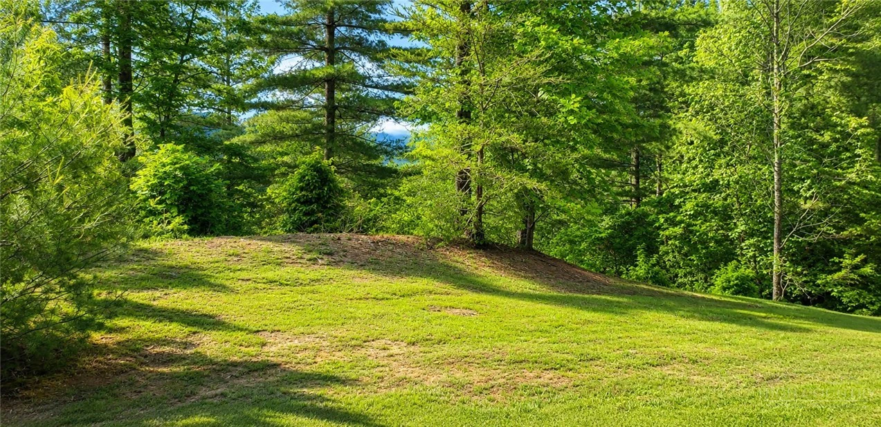 Image number 7 for the current listing