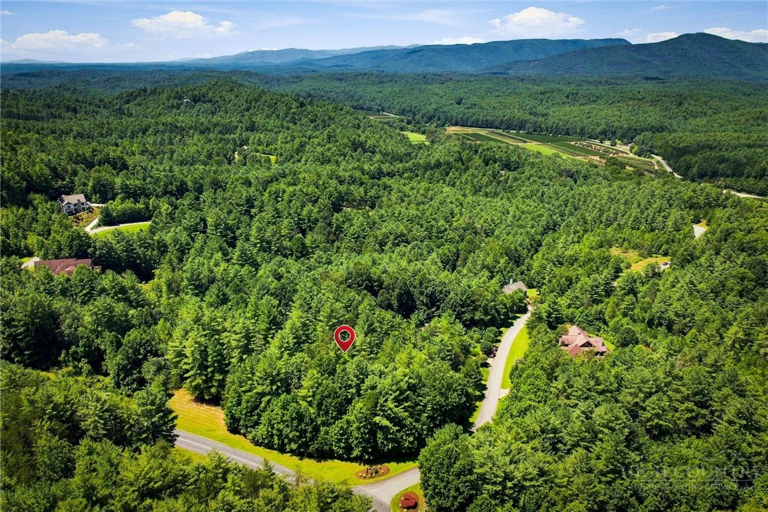 Image number 9 for the current listing