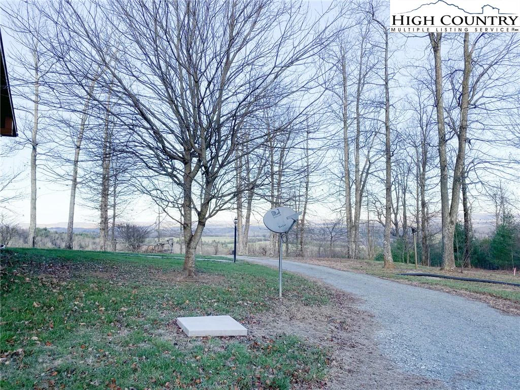 Image number 4 for the current listing