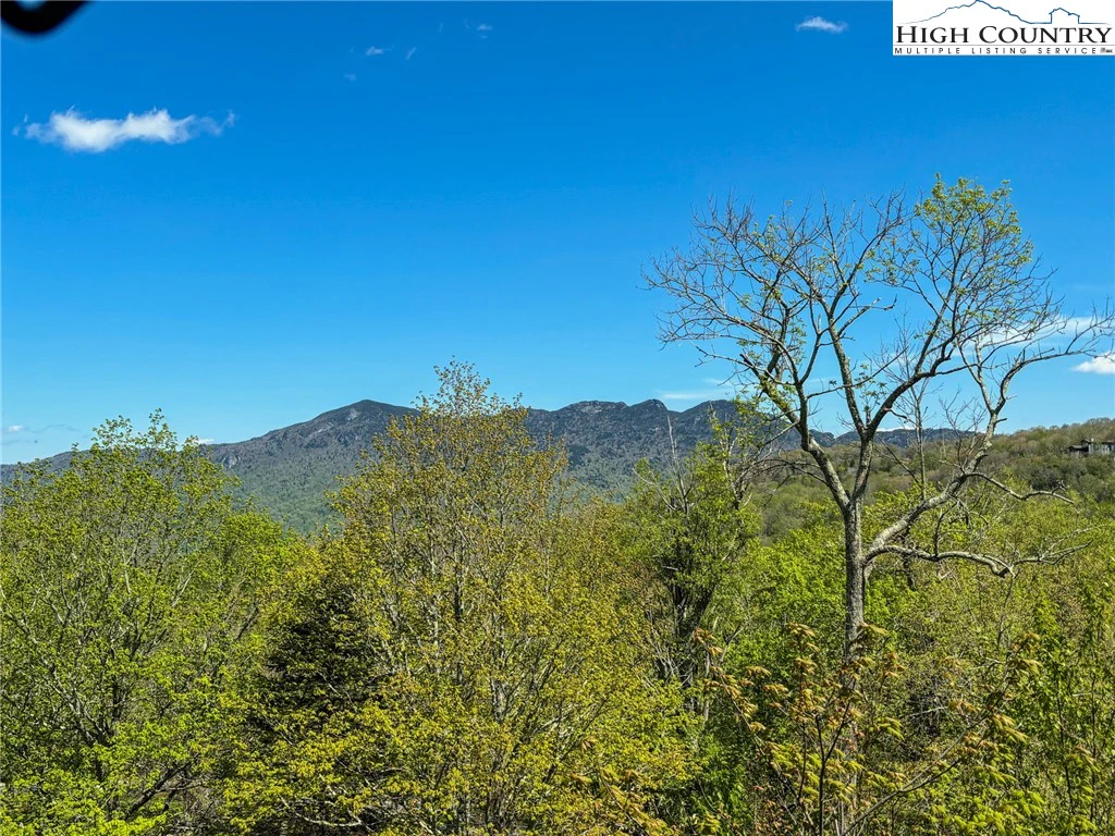 Image number 12 for the current listing