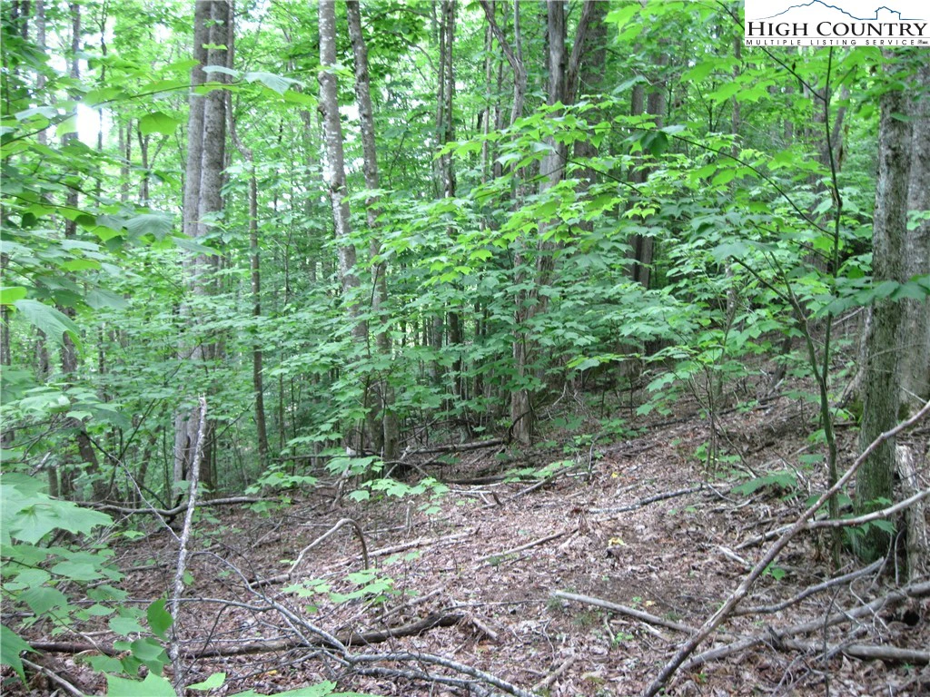 Image number 1 for the current listing
