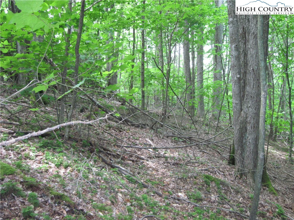 Image number 3 for the current listing