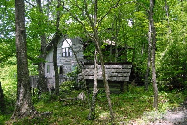 Image number 1 for the current listing