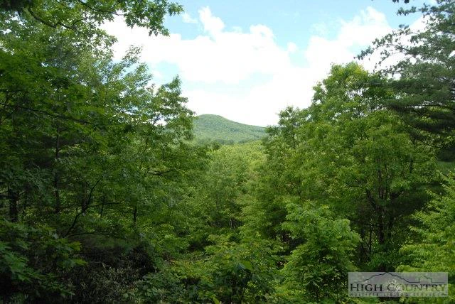 Image number 5 for the current listing