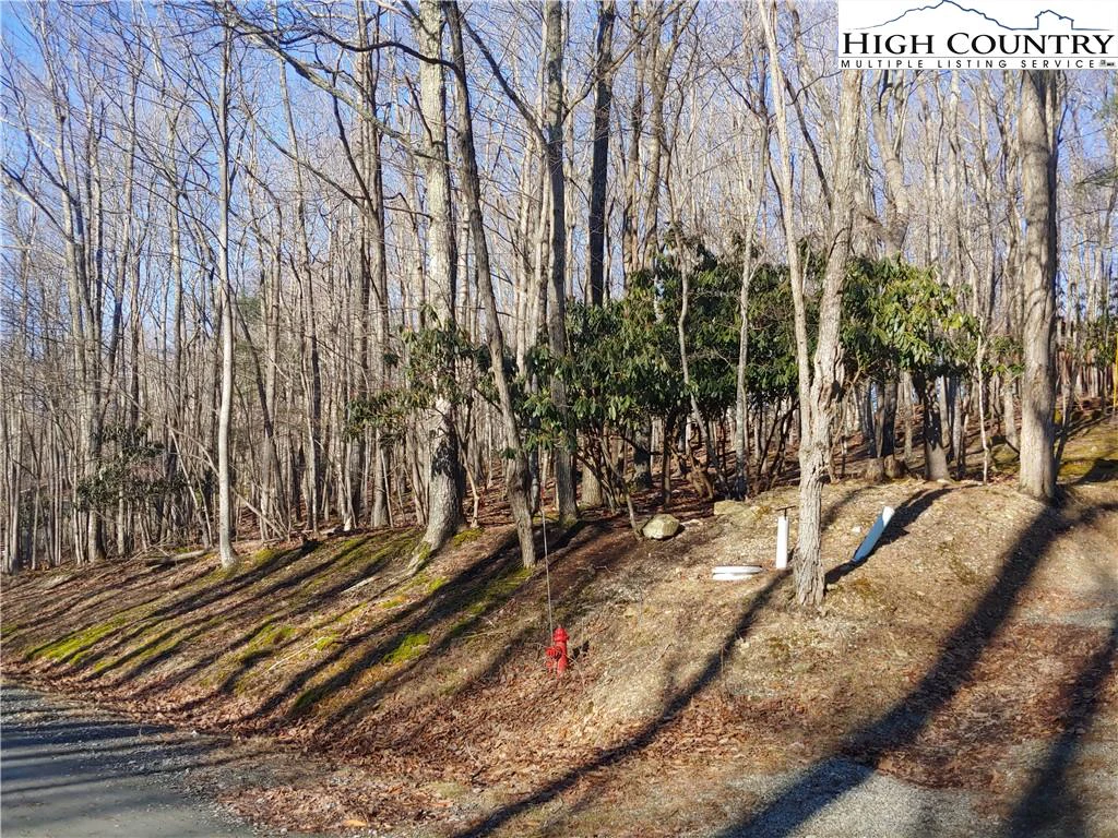 Image number 1 for the current listing